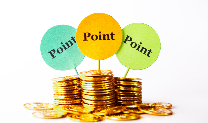 「独自ポイント」と「共通ポイント」の違い